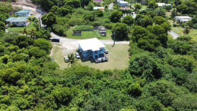 st croix home la grande princess rattan rd covert