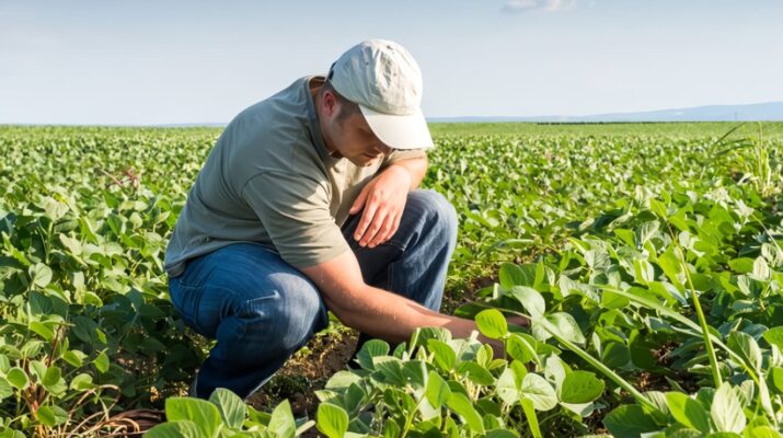 unprg - l ingeniero agrónomo escurra clso